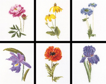 Шесть цветочных исследований Thea Gouverneur 3085, цена 6 003 руб. - интернет-магазин Мадам Брошкина
