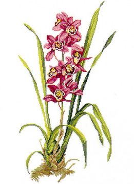 Красная орхидея Eva Rosenstand 14-155, цена 3 154 руб. - интернет-магазин Мадам Брошкина