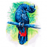 Синий попугай Белоснежка 362-AS