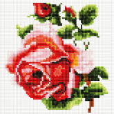 Изящная роза Белоснежка 465-ST-PS