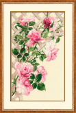 Розовые розы Риолис 898