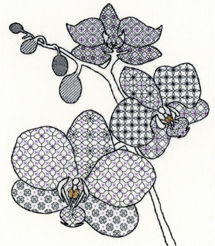 Орхидея Bothy Threads XBW2, цена €35 - интернет-магазин Мадам Брошкина