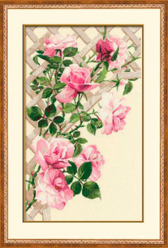 Розовые розы Риолис 898, цена 2 577 руб. - интернет-магазин Мадам Брошкина