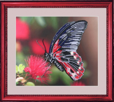 Бабочка Butterfly 103, цена 1 275 руб. - интернет-магазин Мадам Брошкина