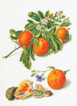 Апельсины и мандарины Thea Gouverneur 3061, цена 5 057 руб. - интернет-магазин Мадам Брошкина
