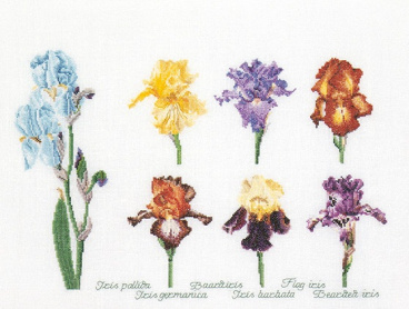 Группа цветов ириса Thea Gouverneur 3051, цена 5 266 руб. - интернет-магазин Мадам Брошкина
