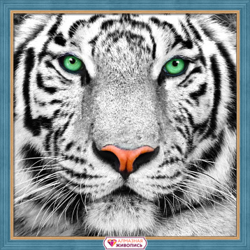 Портрет белого тигра Алмазная живопись АЖ.1788, цена 1 015 руб. - интернет-магазин Мадам Брошкина