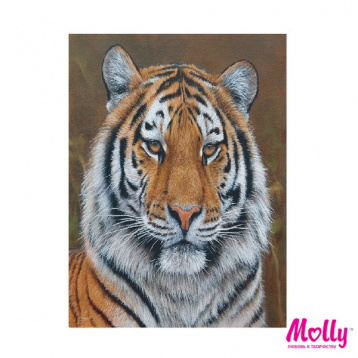 Амурский тигр Molly KH0250, цена 309 руб. - интернет-магазин Мадам Брошкина