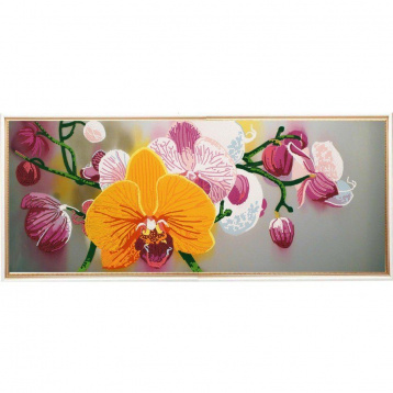 Нежные орхидеи Конёк 8496, цена 526 руб. - интернет-магазин Мадам Брошкина