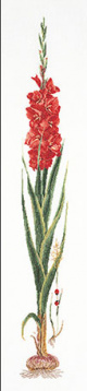 Красный гладиолус Thea Gouverneur 3073, цена 4 639 руб. - интернет-магазин Мадам Брошкина