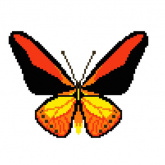 Бабочка Нитекс 2398