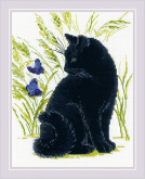 Черный кот Риолис 2001