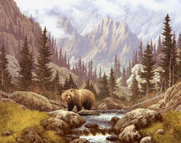 Медведь на воле Алмазная живопись АЖ.1142, цена 2 576 руб. - интернет-магазин Мадам Брошкина