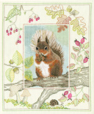 Red Squirrel Derwentwater WIL4