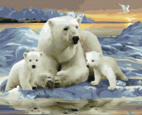 Белые полярные медведи Molly KK0715