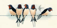 Swallows Derwentwater BB05