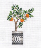 Апельсиновое дерево Овен 1487