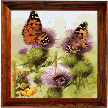 Бабочки и шмели Color kit AC010, цена 1 889 руб. - интернет-магазин Мадам Брошкина