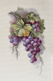 "Синий виноград" по рисунку С. Амес Марья Искусница 04.009.11