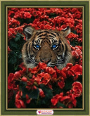 Тигр в цветах Алмазная живопись АЖ.4123
