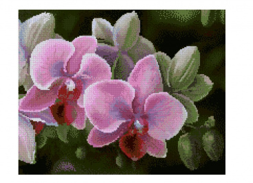 Орхидеи Империя бисера СК-608(П), цена 1 922 руб. - интернет-магазин Мадам Брошкина