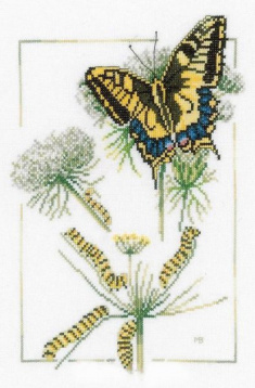 Рождение бабочки Lanarte 21872А, цена 1 268 руб. - интернет-магазин Мадам Брошкина