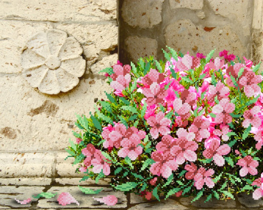 Флоренция в цвету М.П. Студия Г-144, цена 273 руб. - интернет-магазин Мадам Брошкина