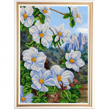 Экзотические цветы 2 Конёк 9963, цена 405 руб. - интернет-магазин Мадам Брошкина
