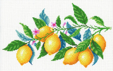 Лимонная гармония М.П. Студия СК-098