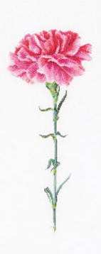 Розовая гвоздика Thea Gouverneur 467A, цена 3 037 руб. - интернет-магазин Мадам Брошкина