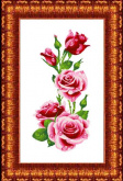 Розы Каролинка КТКН-128(р)