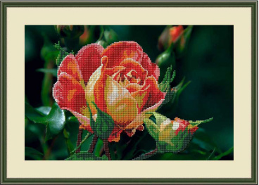 Чайная роза Galla Collection Л336, цена 1 980 руб. - интернет-магазин Мадам Брошкина