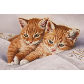 Рыжие котята Molly KH0318, цена 564 руб. - интернет-магазин Мадам Брошкина