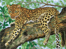 Ленивый леопард Grafitec 10.359