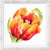 Красный тюльпан Чудесная Игла 150-010