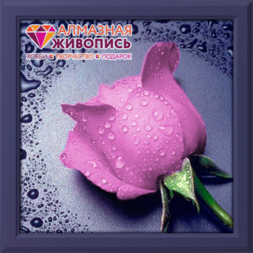 Розовая Роза Алмазная живопись АЖ.17, цена 1 015 руб. - интернет-магазин Мадам Брошкина