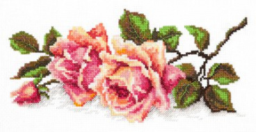 Аромат розы Чудесная Игла 40-48, цена 430 руб. - интернет-магазин Мадам Брошкина
