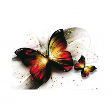 Утренние бабочки Molly KM0881, цена 422 руб. - интернет-магазин Мадам Брошкина