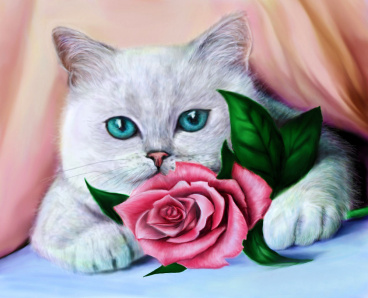 Кот и роза Алмазное хобби Ah5332, цена 1 112 руб. - интернет-магазин Мадам Брошкина