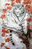 Восточный тигр Паутинка М372