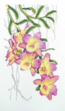 Орхидеи Марья Искусница 04.004.16, цена 1 646 руб. - интернет-магазин Мадам Брошкина