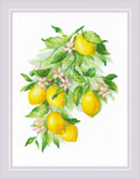 Яркие лимоны Риолис 2054
