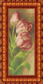 Тюльпаны Каролинка КБЦ 2002