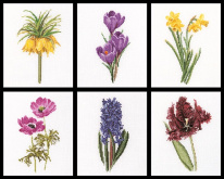 Шесть цветочных исследований Thea Gouverneur 3083