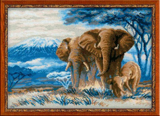 Слоны в саванне Риолис 1144