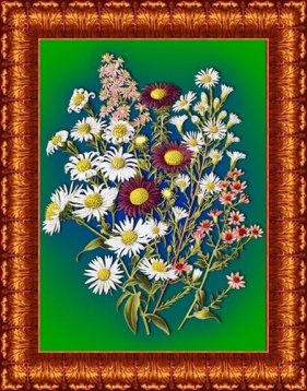 Рисунок для вышивки лентами Каролинка КЛ 4011, цена 185 руб. - интернет-магазин Мадам Брошкина