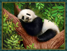 Сонная панда Алмазная живопись 1826