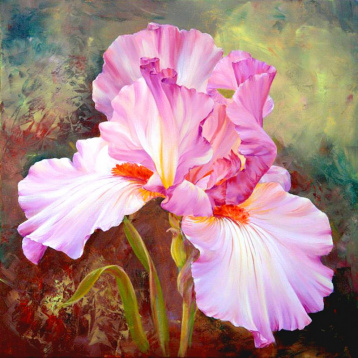 Розовый ирис Алмазная живопись АЖ.1125, цена 2 029 руб. - интернет-магазин Мадам Брошкина