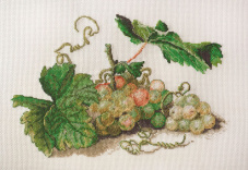 "Ветка винограда" по рисунку Ф. Толстого Марья Искусница 06.001.18