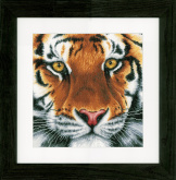 Tiger   Lanarte PN-0156104